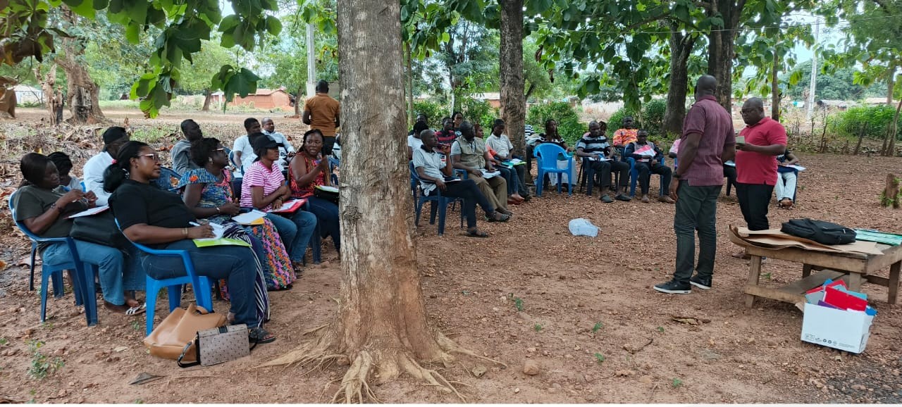 Appui au renforcement des capacités des acteurs du développe…
